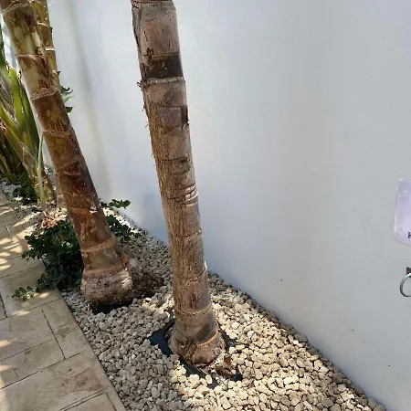 Diana - 200 Meters From Kapparis, Fireman's Holiday home